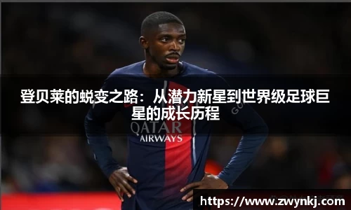 XK星空体育官方app下载