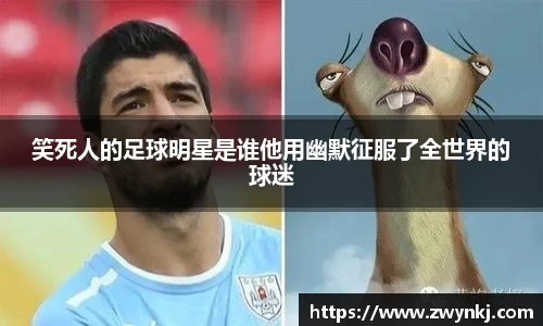 XK星空体育官网