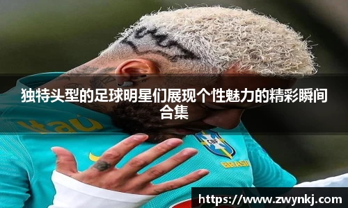 XK星空体育官网